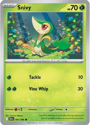 Snivy from SV: Black Bolt