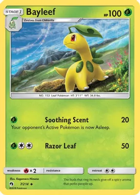 Bayleef from SM - Lost Thunder