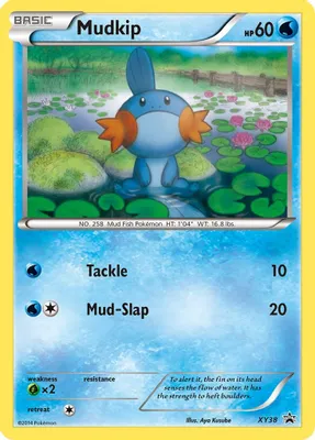 Mudkip - XY38 from XY Promos