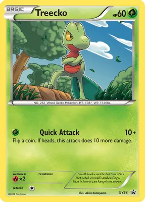 Treecko - XY36 from XY Promos