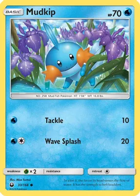 Mudkip (33) from SM - Celestial Storm