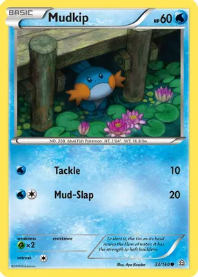 Mudkip from XY - Primal Clash