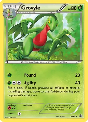 Grovyle from XY - Primal Clash