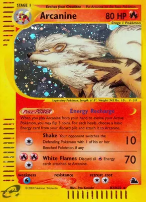 Arcanine (H2) from Skyridge