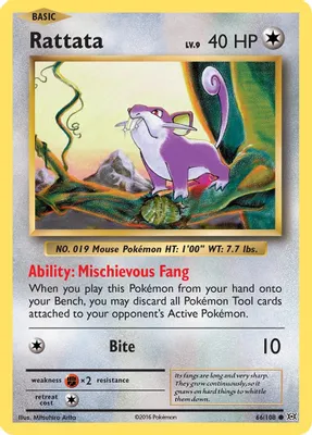 Rattata from XY - Evolutions