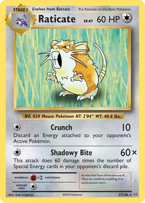 Raticate from XY - Evolutions