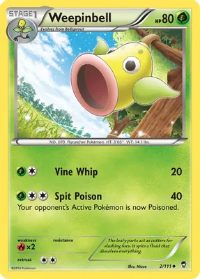 Weepinbell from XY - Furious Fists