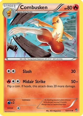 Combusken from XY - Furious Fists