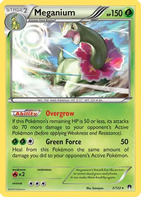 Meganium from XY - BREAKpoint