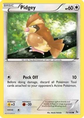 Pidgey from XY - Flashfire