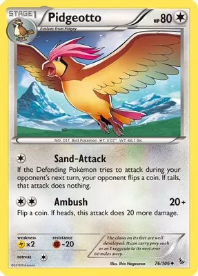 Pidgeotto from XY - Flashfire