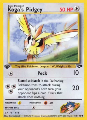 Koga's Pidgey (80) from Gym Challenge
