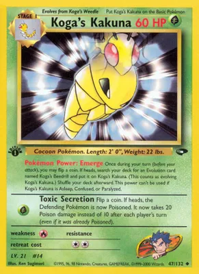 Koga's Kakuna from Gym Challenge