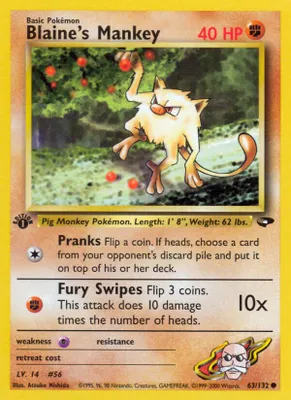 Blaine's Mankey from Gym Challenge