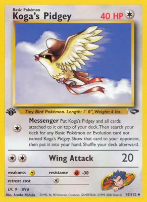 Koga's Pidgey (49) from Gym Challenge