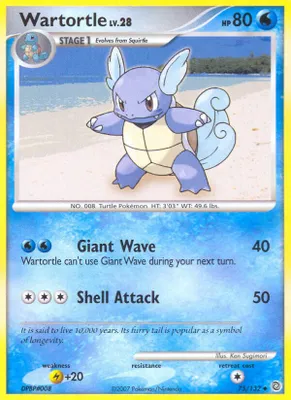 Wartortle from Secret Wonders