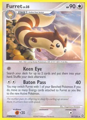 Furret from Secret Wonders