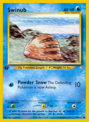 Swinub from Neo Genesis