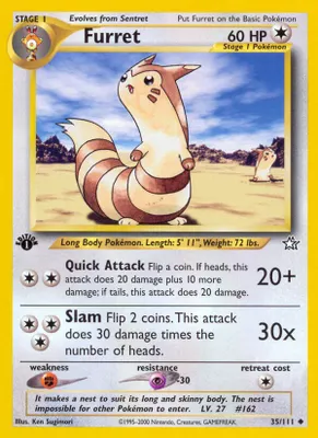 Furret from Neo Genesis