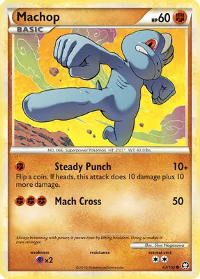 Machop from Triumphant