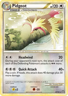 Pidgeot from Triumphant