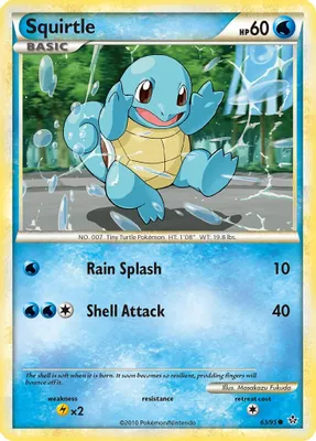 Squirtle from Unleashed