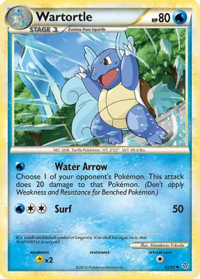 Wartortle from Unleashed