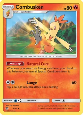 Combusken from Dragon Majesty