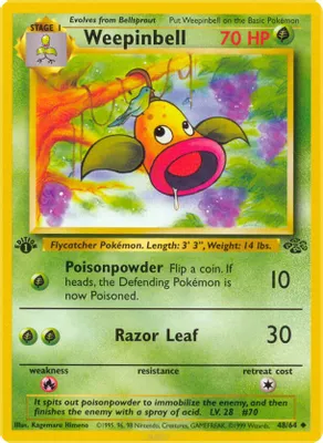 Weepinbell from Jungle