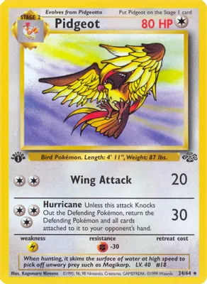 Pidgeot (24) from Jungle