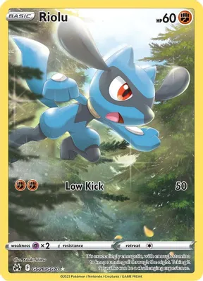 Riolu from SWSH: Crown Zenith: Galarian Gallery