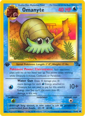 Omanyte from Fossil