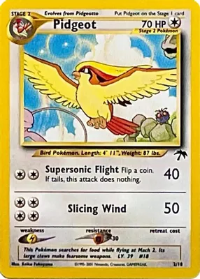 Pidgeot from Southern Islands