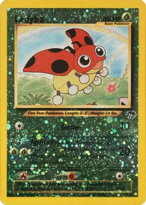 Ledyba from Southern Islands