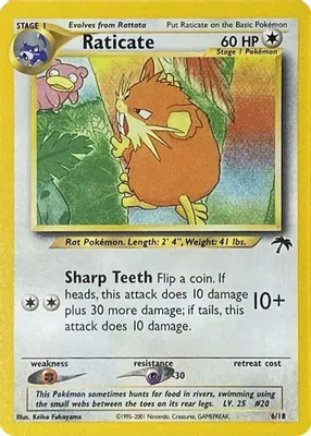 Raticate from Southern Islands