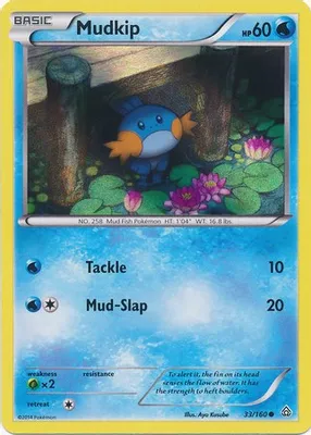 Mudkip - 33/160 (Sheen Holo) from Miscellaneous Cards & Products