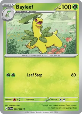 Bayleef from ME: Ascended Heroes